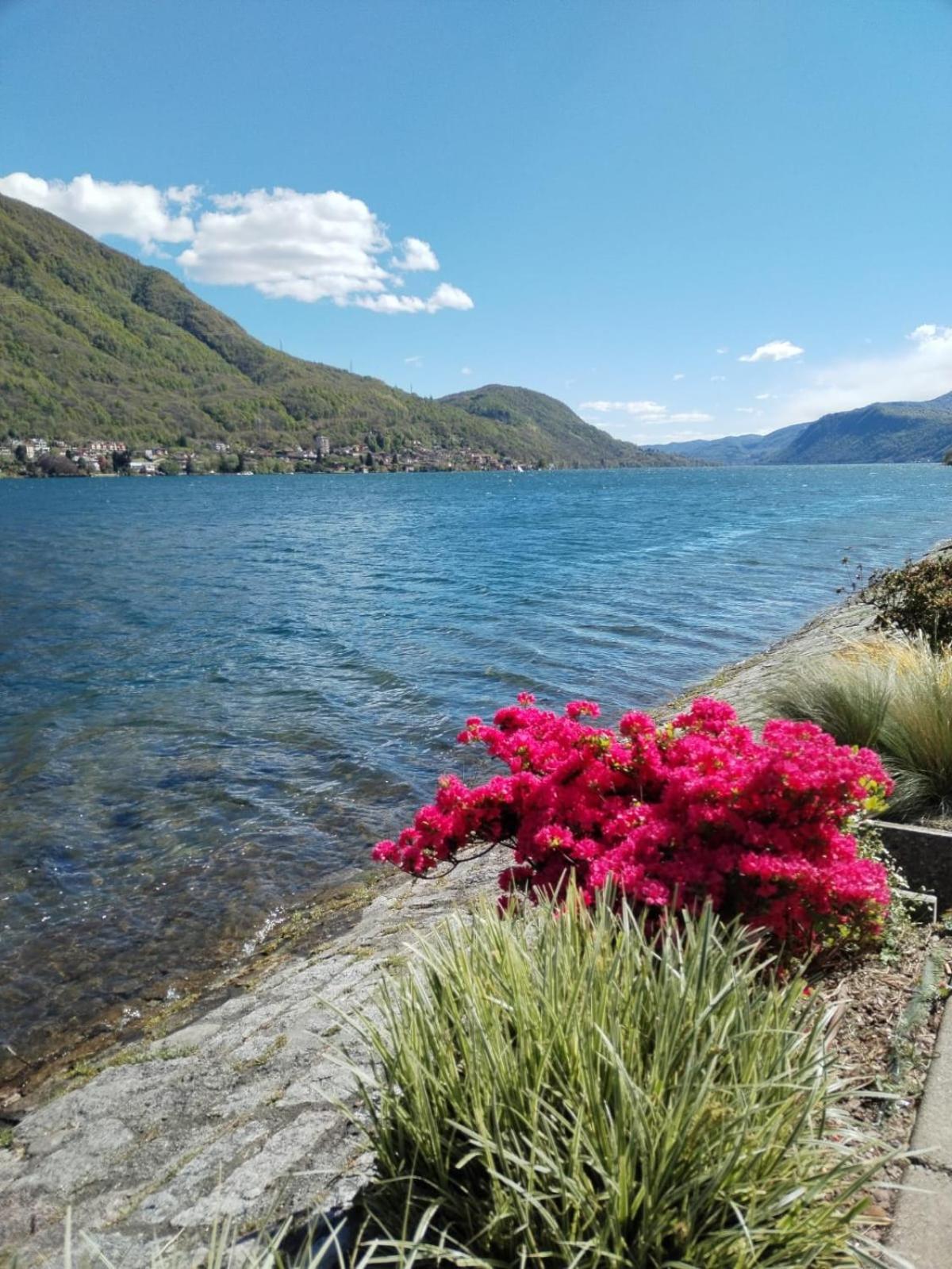 Un Balcone Sul Lago Omegna Bagian luar foto