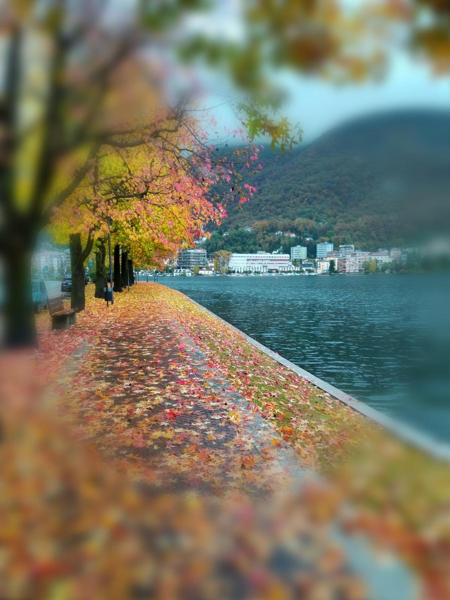 Un Balcone Sul Lago Omegna Bagian luar foto