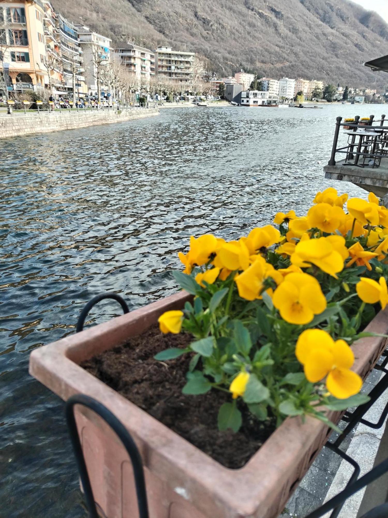 Un Balcone Sul Lago Omegna Bagian luar foto